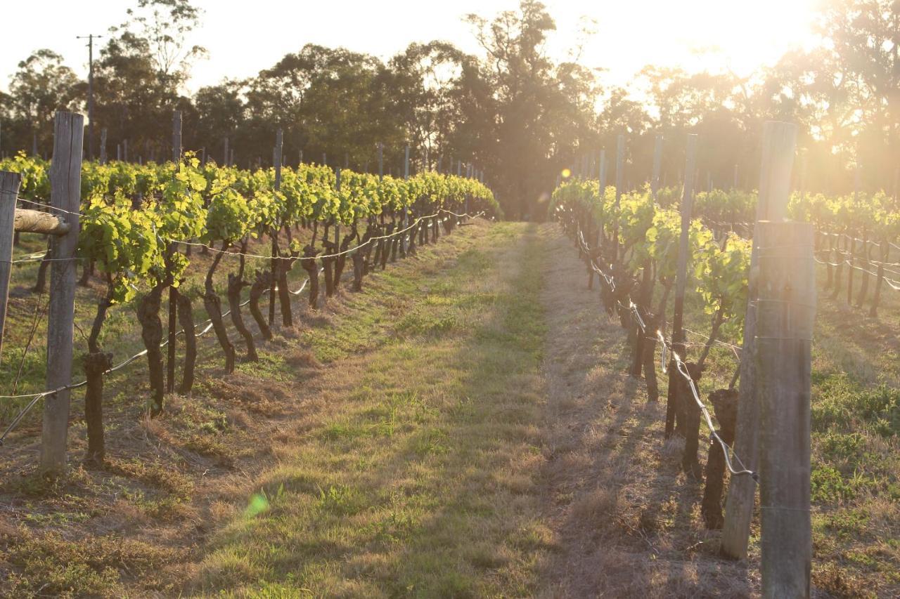 Blueberry Hill Vineyard Stay روثبري المظهر الخارجي الصورة