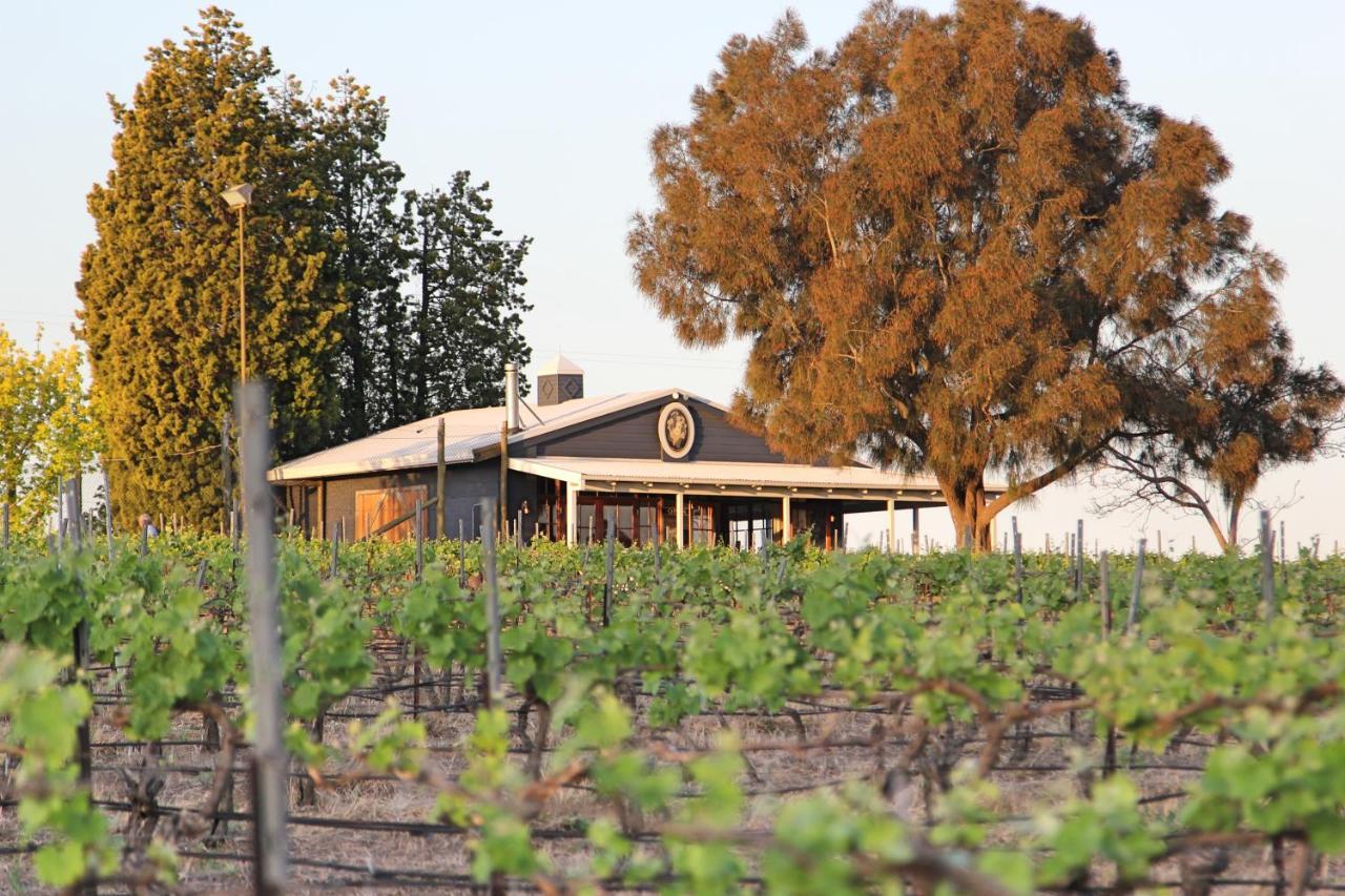 Blueberry Hill Vineyard Stay روثبري المظهر الخارجي الصورة