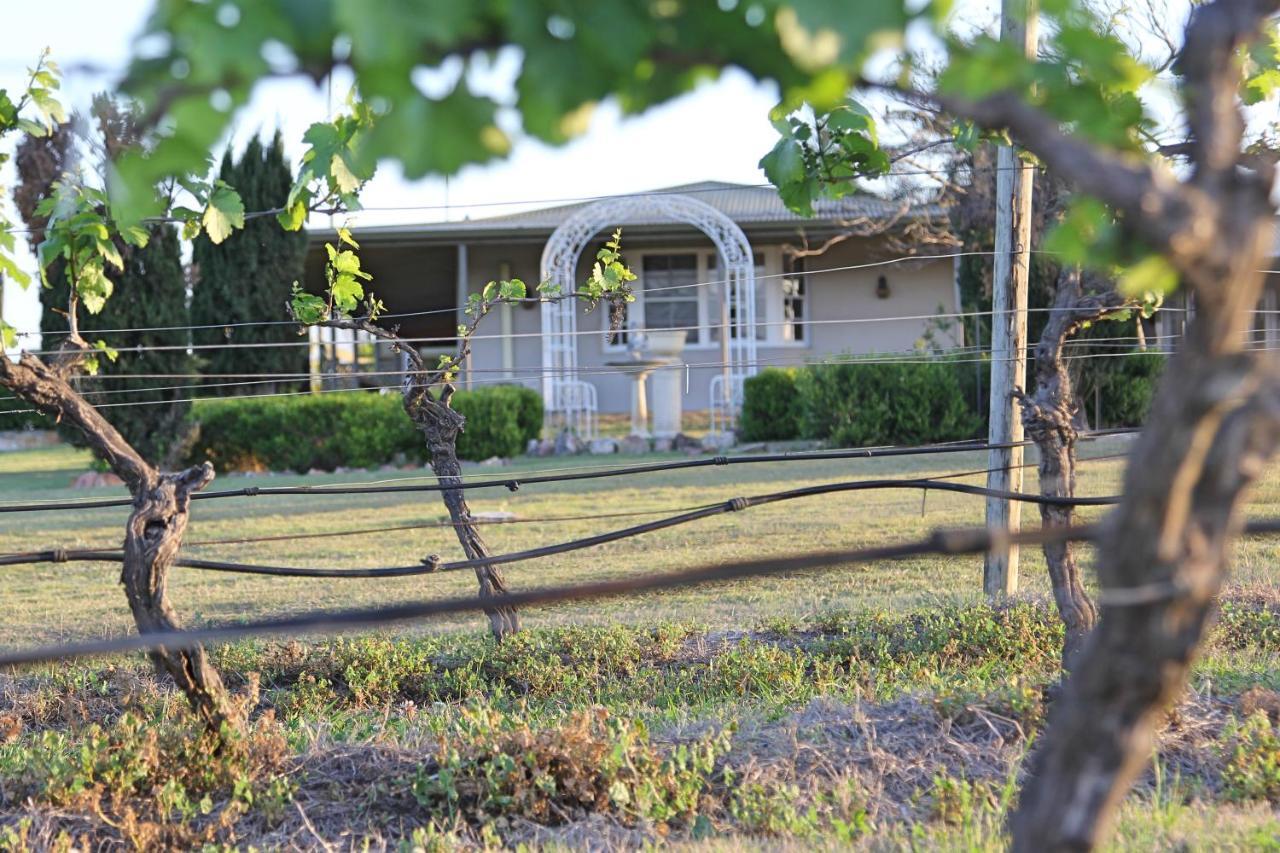 Blueberry Hill Vineyard Stay روثبري المظهر الخارجي الصورة