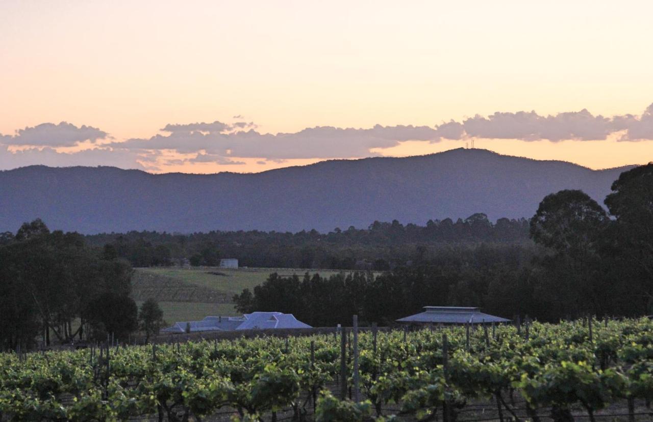 Blueberry Hill Vineyard Stay روثبري المظهر الخارجي الصورة