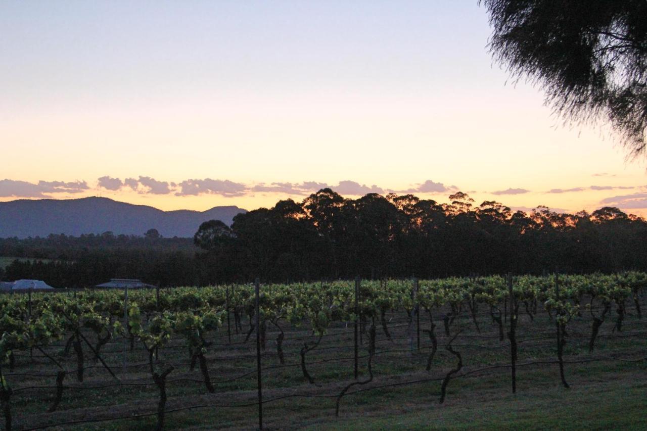 Blueberry Hill Vineyard Stay روثبري المظهر الخارجي الصورة