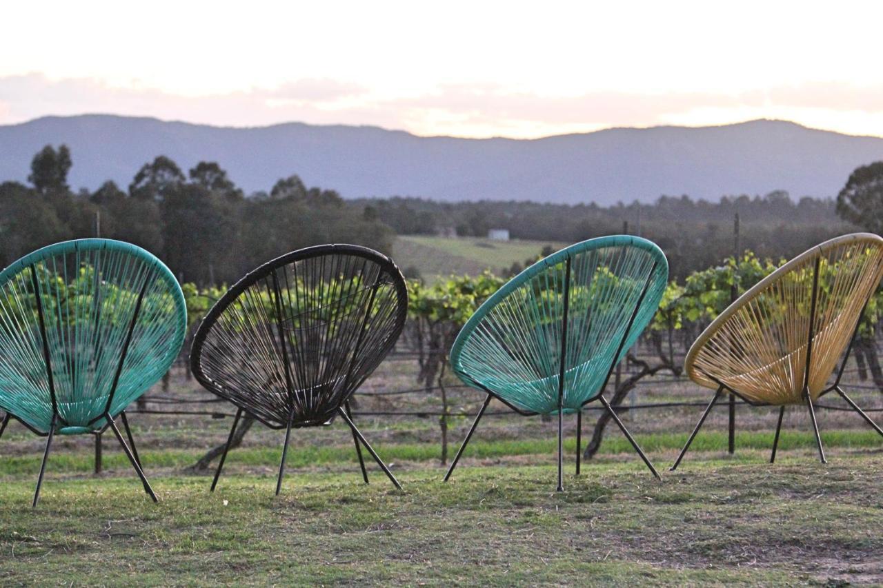 Blueberry Hill Vineyard Stay روثبري المظهر الخارجي الصورة